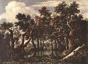 Jacob van Ruisdael The Marsh in a Forest oil painting artist